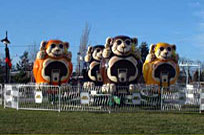 Monkeys Photo Monkeys Photo