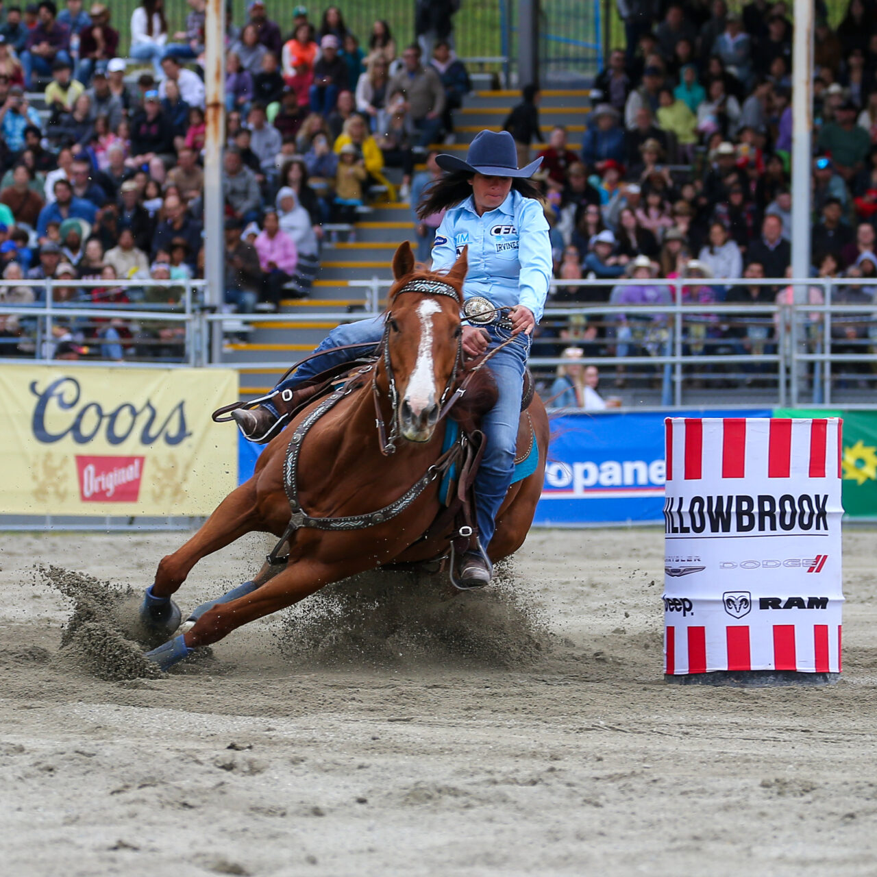 Things to do at the Cloverdale Rodeo and Country Fair | Cloverdale ...