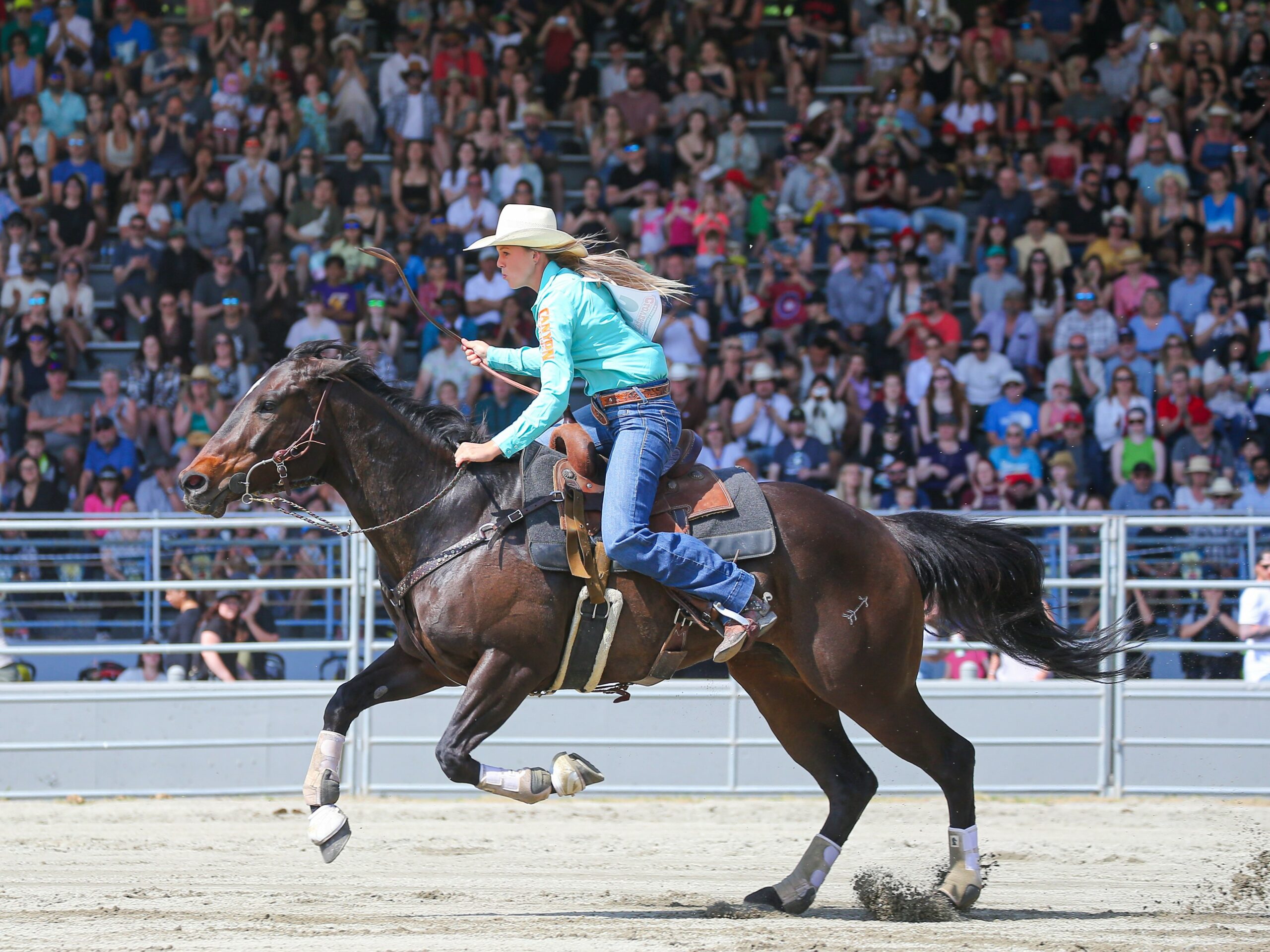 Barrel Racer in Full Gallop at the Cloverdale Rodeo and Country Fair