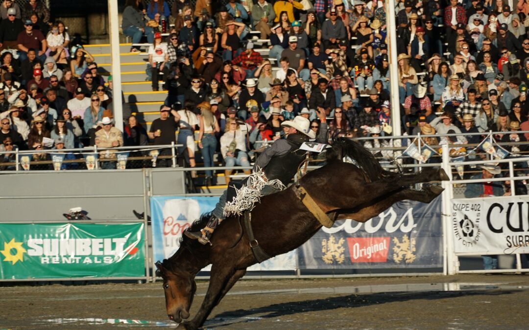 A Bareback Rider in front of a sold out crowd at the Cloverdale Rodeo & Country Fair - Pool b Go 1 - Saturday, May 18, 2024