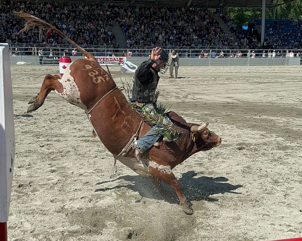 Number 4 Rodeo Rodeo | Cloverdale Rodeo and Country Fair