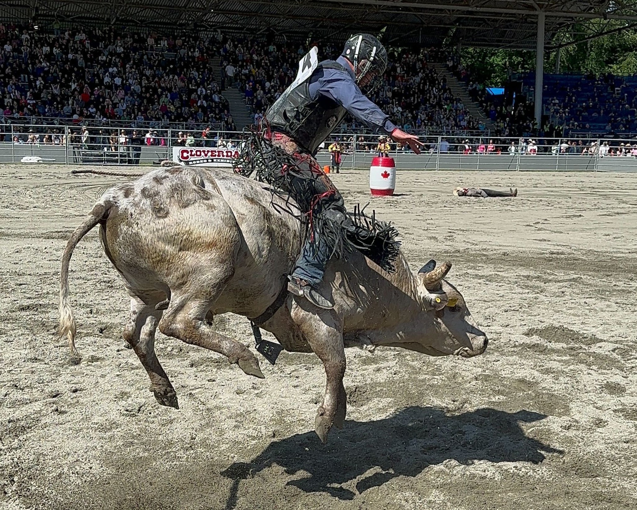 Unforgettable Stories Unfold at the 2024 Cloverdale Rodeo | Cloverdale ...