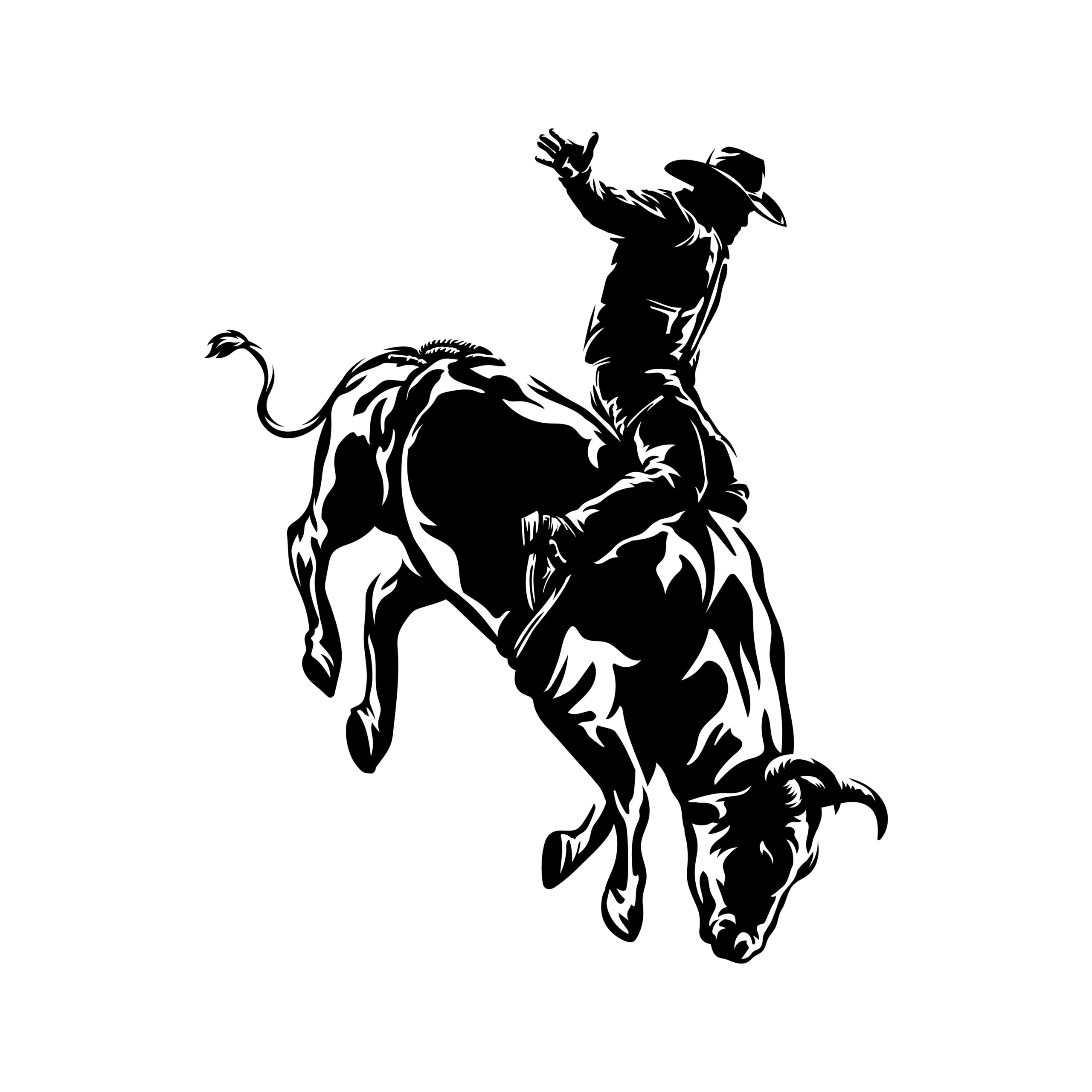 Bull riding photo replacment Bull riding photo replacment