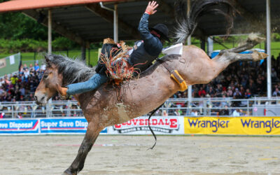 2025 Cloverdale Rodeo Live Streams & Replays