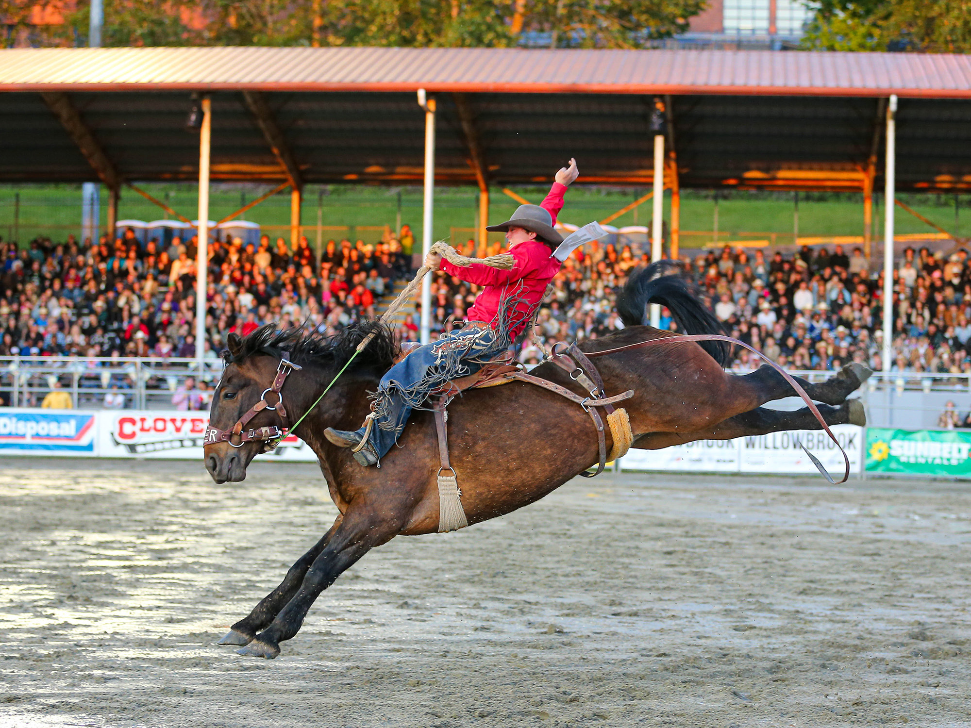 2024 Cloverdale Rodeo and Country Fair - Saddle Bronc Rider in front of the crowd