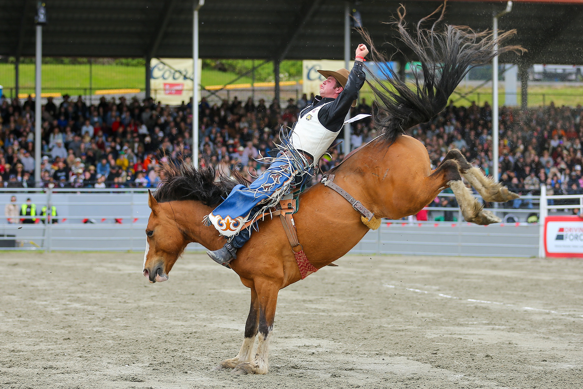 2025 Cloverdale Rodeo - Bareback Champion - Kade Berry - Winning Ride 2025 Cloverdale Rodeo - Bareback Champion - Kade Berry - Winning Ride