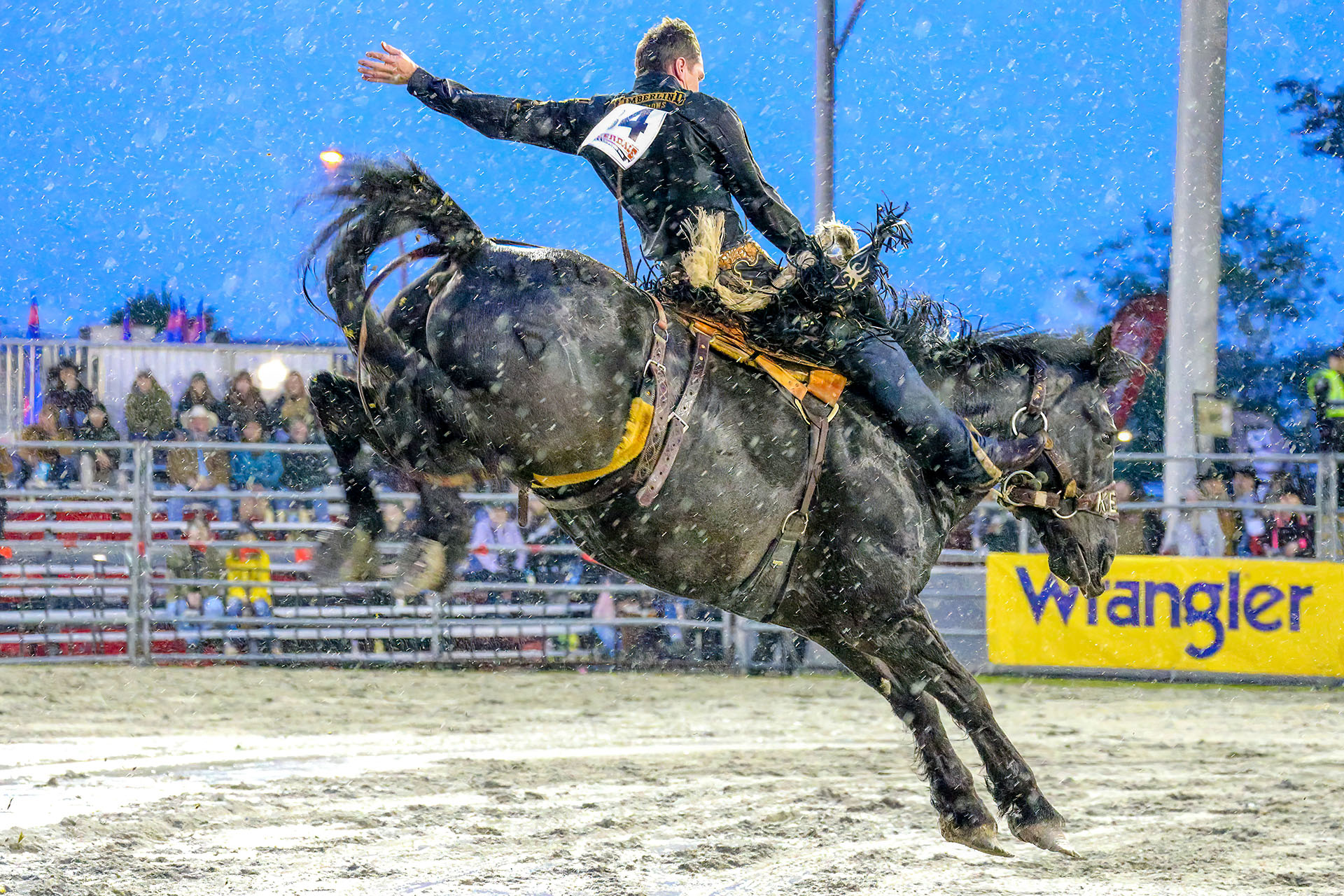 CRCF - 2025 - Pool A Go 1 Winner - Saddle Bronc - Jared Parsonage 025 - Pool A Go 1 Winner - Saddle Bronc - Jared Parsonage