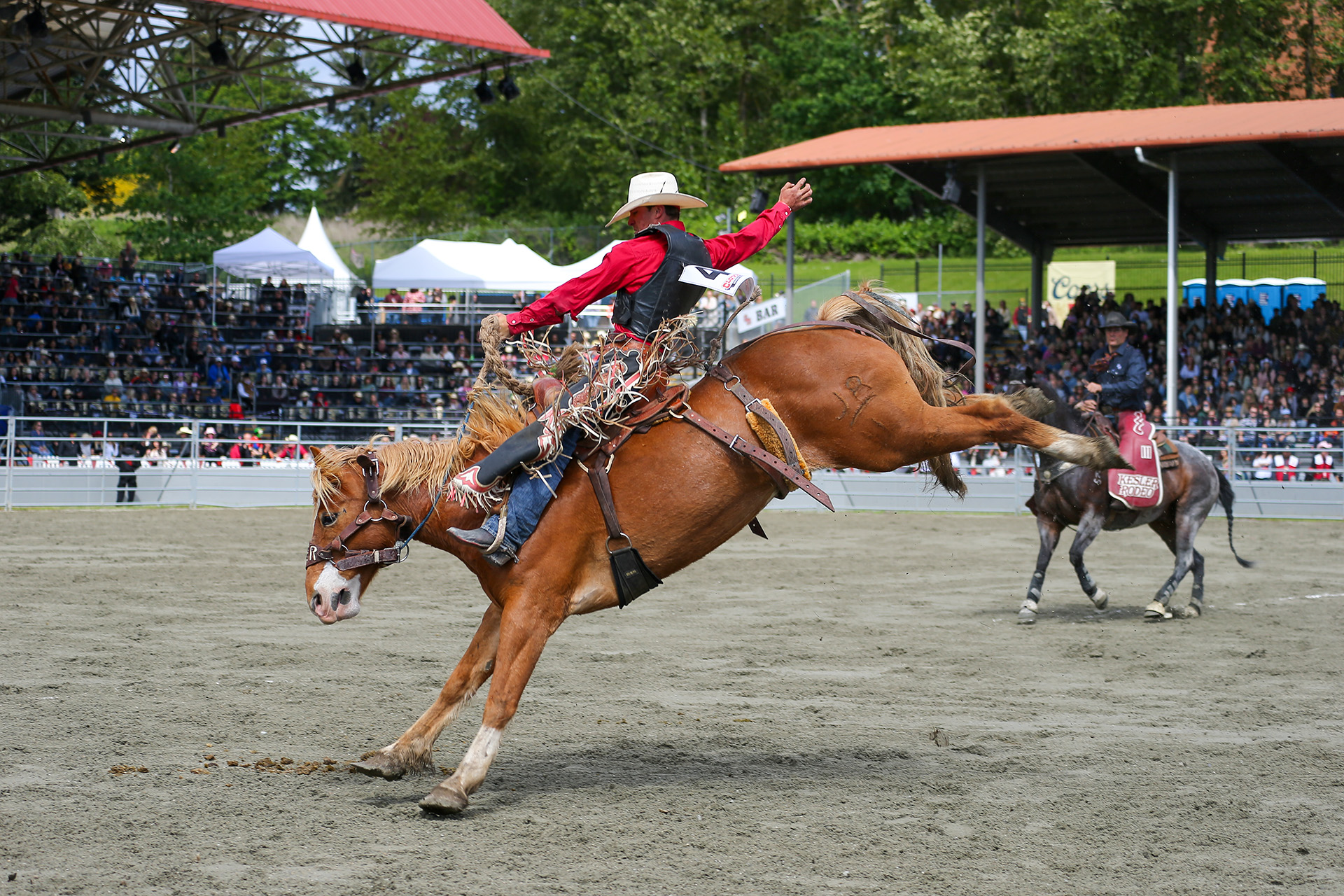 CRCF - 2025 - Pool B Go 2 Winner - Saddle Bronc - Ks Thomson - 1920x1280 2025 - Pool B Go 2 Winner - Saddle Bronc - Ks Thomson - 1920x1280