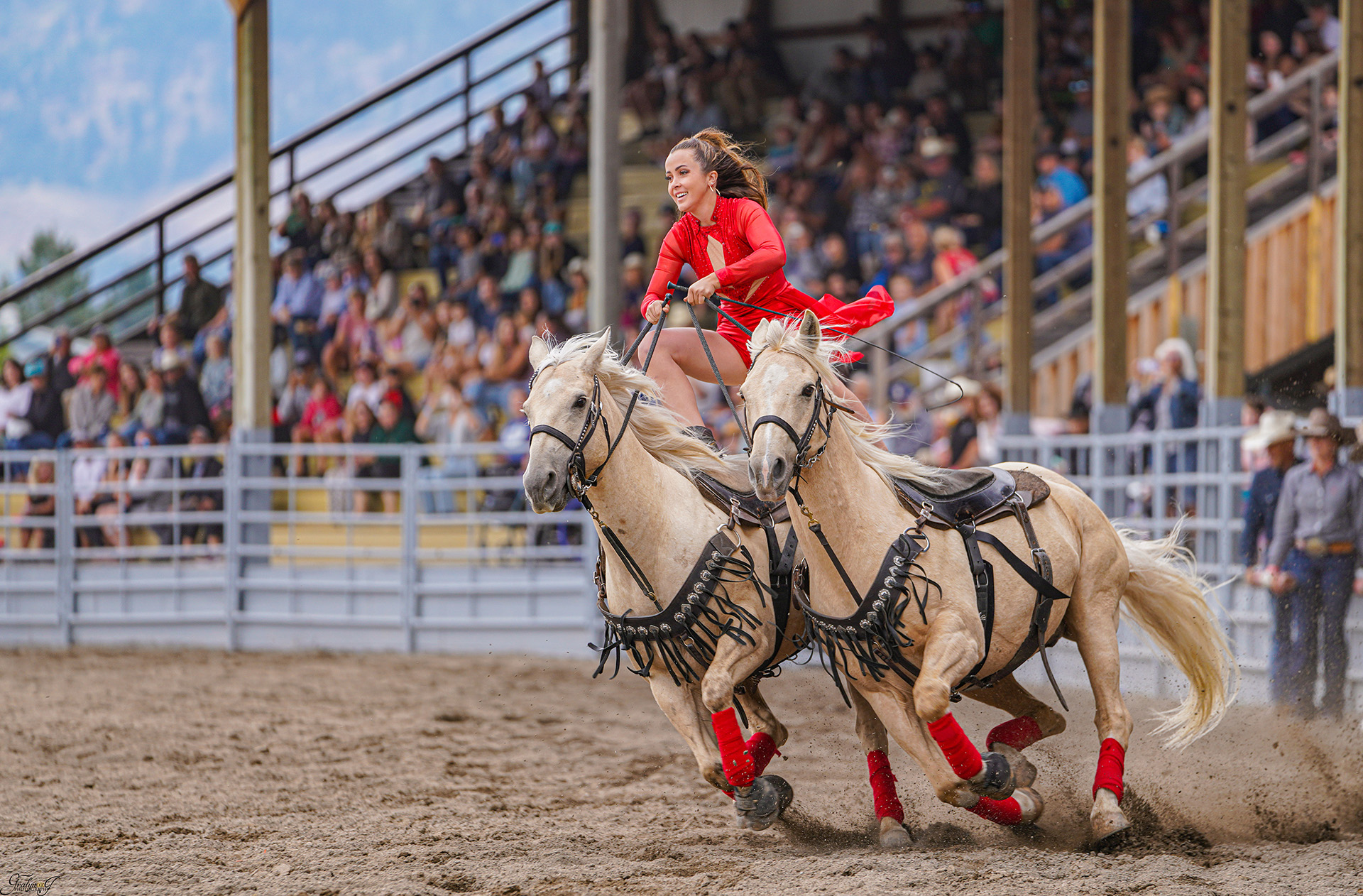 A Roman Rider at a rodeo event - Featured at the 2026 Cloverdale Rodeo and Country Fair