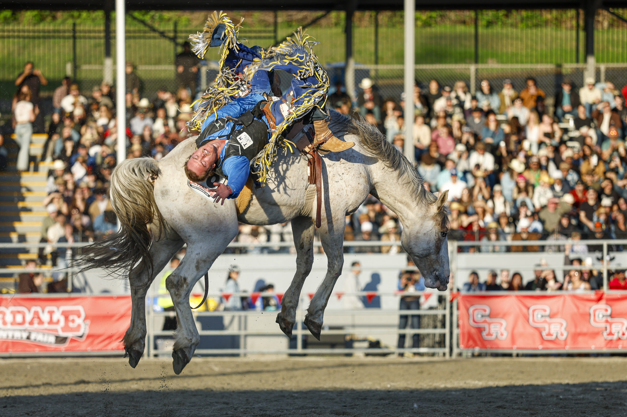 COLTON CLEMENS (BLACKFOOT, ID) . 07 PICKERAL Cloverdale Round 2