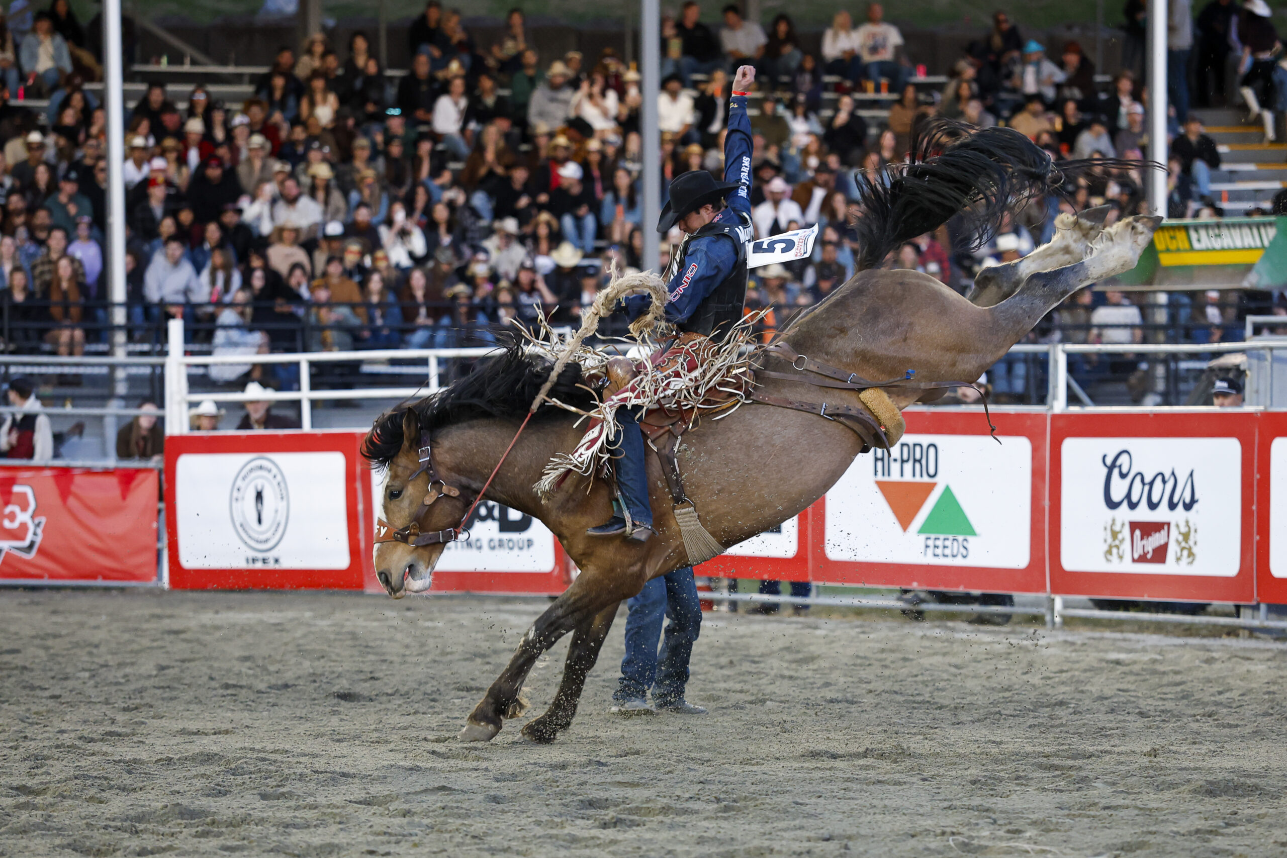 LAYTON GREEN  (MILLERVILLE, AB) . 420 BAY MOON Cloverdale Round 2