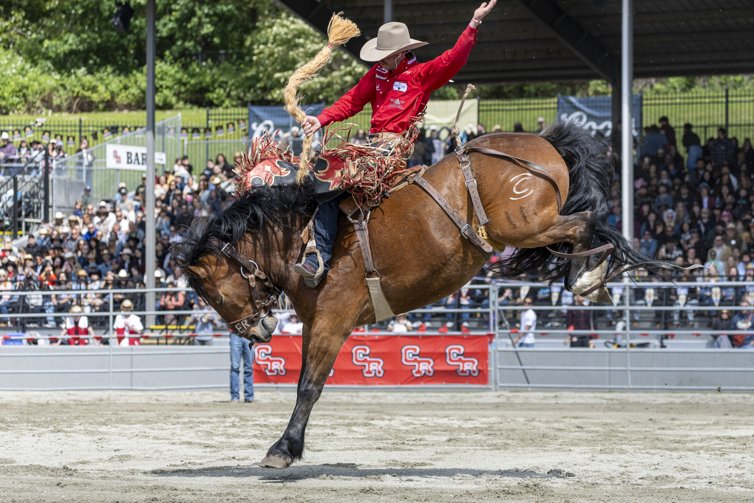 025 - Pool A Go 1 Winner - Saddle Bronc - Jared Parsonage